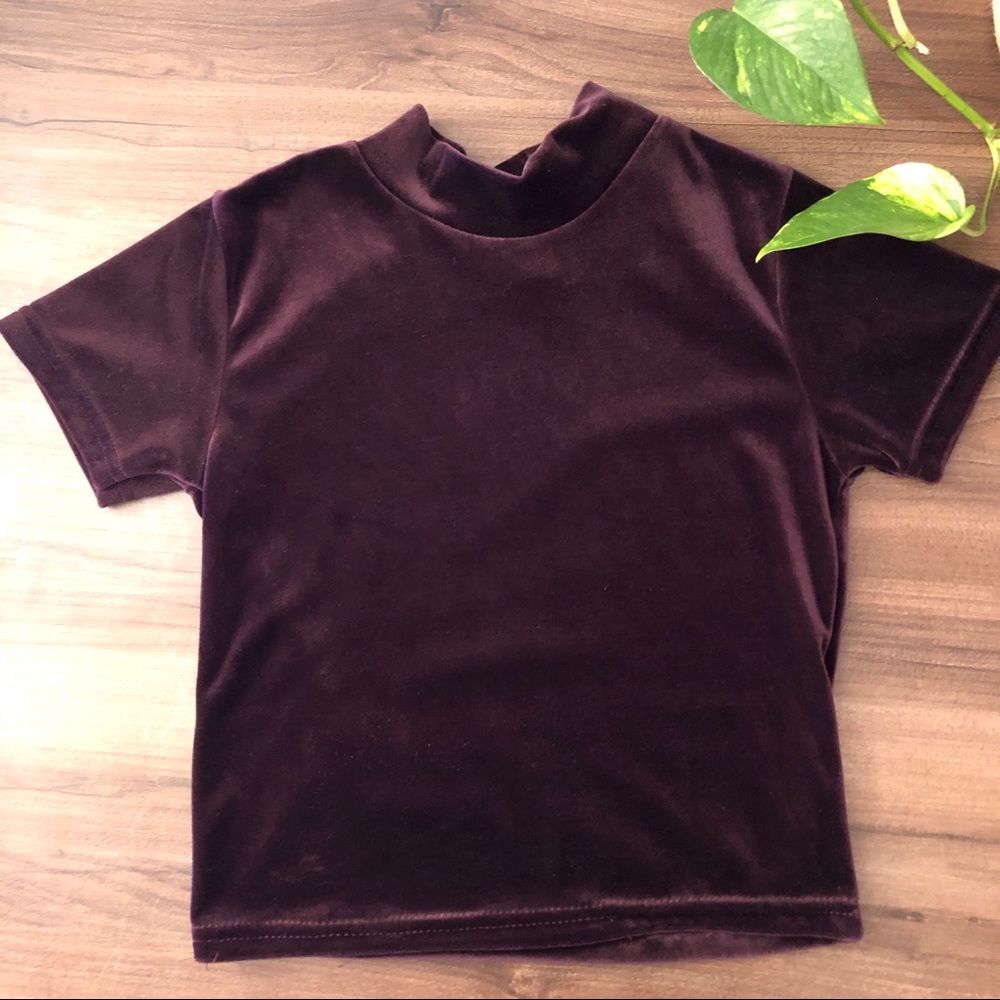 Vintage Velvet Mock Neck Top